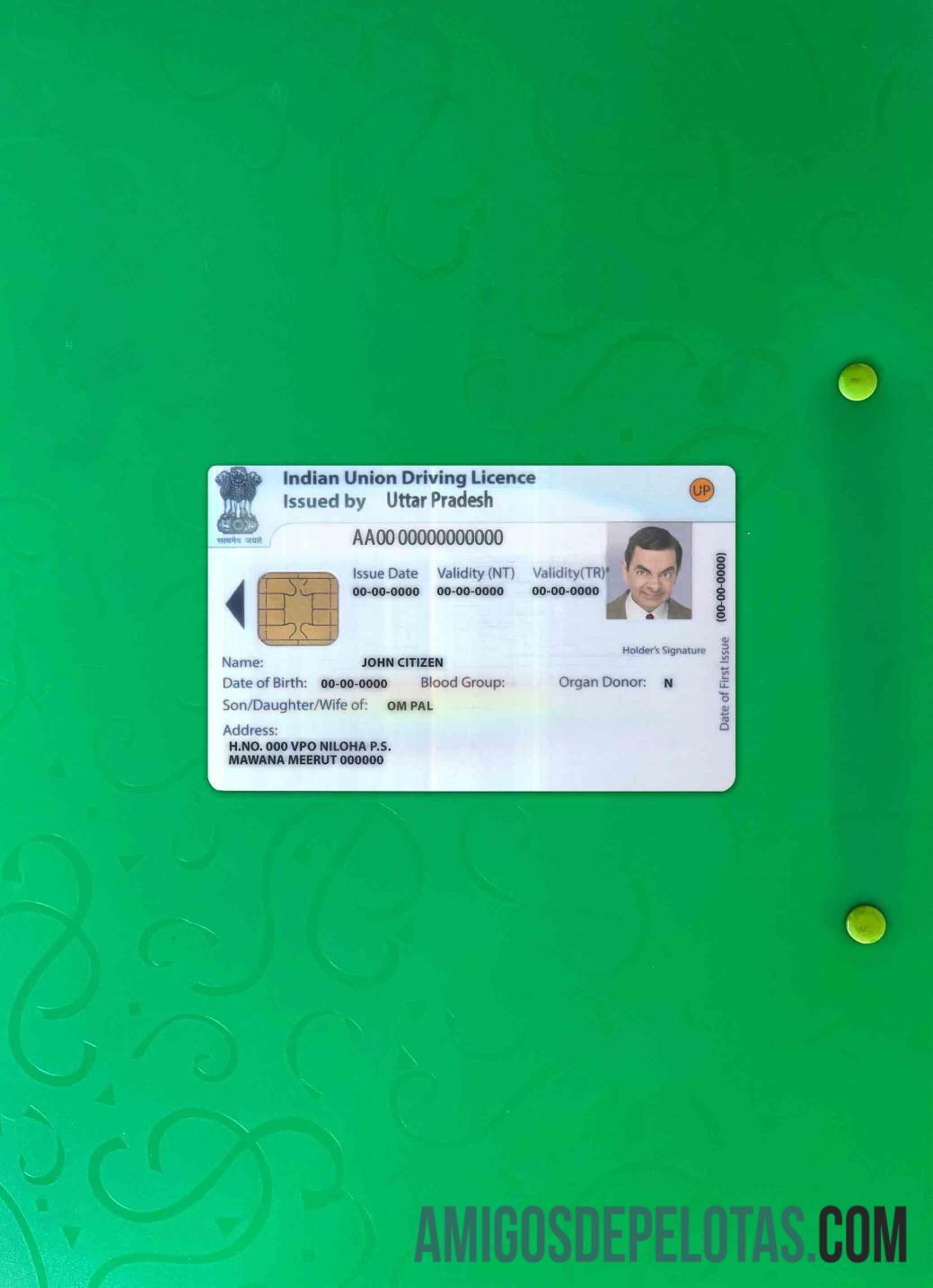 Carteira de motorista da União Indiana fotolook frente exemplo